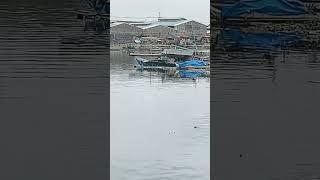 FLOATING HOUSES at DAGAT-DAGATAN MALABON