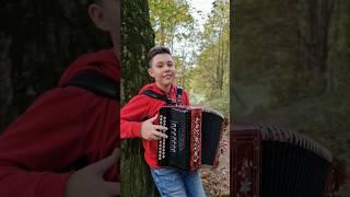 ЧТО ТАКОЕ ОСЕНЬ? 🪗 #accordion #shorts #гармонь #гармонист #топ #music #осень