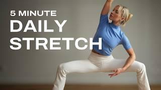 5 Min. Daily Stretch for Flexibility & Mobility | Full Body + Modifications
