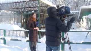 Первый канал в Центре "Велес" Потапыч позирует