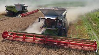 Claas Lexion 8900 TT Combine | World’s BIGGEST COMBINE | Wheat harvest | Claas Lexion 780 TT | KMWP