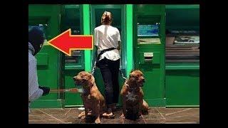 Dogs Protecting Their Owners - Dogs that are better than guns! [Dog Training] # 2