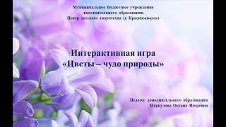 Экологическая мастерская - Интерактивная игра "Цветы - чудо природы", педагог Меркулова О.И.