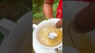 Bopf Tea | leaf to tea bag | Homemade