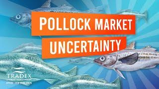 3MMI - Global Pollock Market Uncertainty, Pacific Cod Prices in Flux