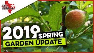 Spring 2019 Homestead Garden Update with Peaches Blackberries Kale & Tomatoes | #EastTexasHomestead