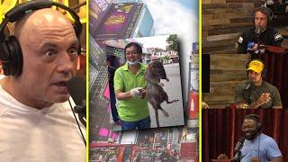 New York Rats Are GIANT | Joe Rogan & Tony/Brendan/Brian