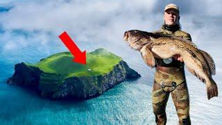 Hunting Huge Ling Cod In The Most North Western Point Of The US