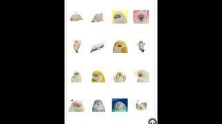 Sealook Line Stickers Showcase