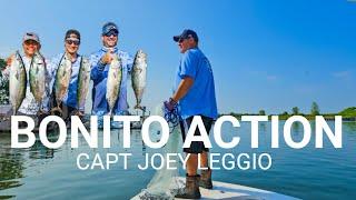 Insane BONITO Fishing Action in New York