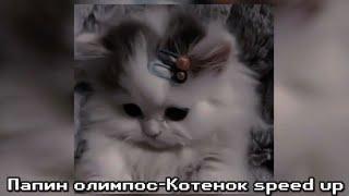 Папин олимпос-Котёнок speed up 🫶