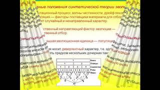 Биология. 9 класс. Современные представления об эволюции. Людмила Ивановна. Profi-Teacher.ru