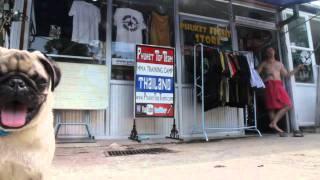 Phuket Top Team - Episode 1 Phuket, Thailand