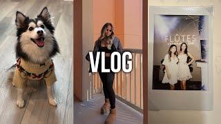 vlog: filming a tiktok, engagement party + new dog sweater!