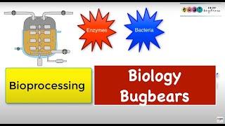 Bioprocessing-Batch and Continuous Flow (leaving Cert Biology)Biology Bugbears Bioprocessing