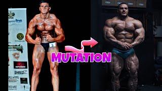 NATURAL VS ENHANCED | TRUE MUTANT | CALVEZILLA