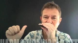 Top 5 Sonny Terry riffs from playharmonica.co.uk on Hohner Marine band harmonica