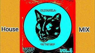 Mister gato Gran Canarias underground house dj juanela 2020