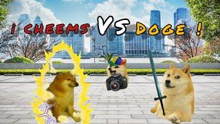 doge vs cheems @Capistrano