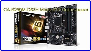 REVIEW (2024): GA-B250M-DS3H Micro ATX Motherboard. ESSENTIAL details.