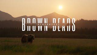 2022 Alaska Brown Bears Photo Tour Sizzle Reel - 4K