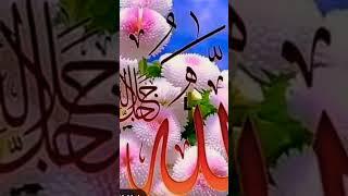 New  naat Sajjad Ansari 