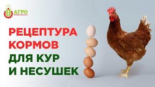 Рецептура кормов для молодых кур и кур несушек.