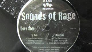 Sounds Of Rage - Street Warrior