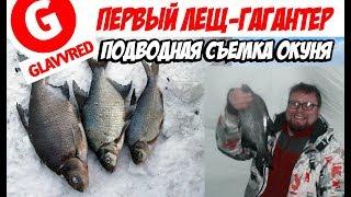 GLAVVRED: Езда по замершему водохранилищу, быт на зимней рыбалке и как правильно чистить окуня...