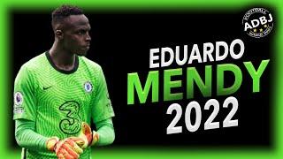 Edouard Mendy 2021/2022 - Crazy Saves - HD