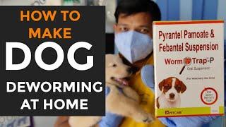 Easy Deworming to Dogs | Puppies |  #shorts | #viralshorts | #drrahulvets