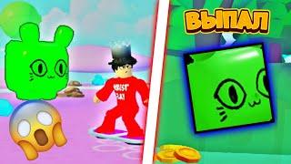 ВЫБИЛ ЗЕЛЁНОГО БАЛЛОН КОТА | РЕАКЦИЯ ИГРОКОВ | ROBLOX
