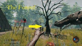 The Forest: Funny Compilation