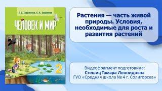 Тема 4. Растения — часть живой природы. Условия, необходимые для роста и развития растений