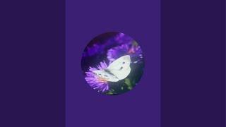 White Butterfly Ascension is live!