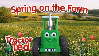 Let's Explore The Farm In Spring With Tractor Ted 