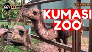 Let's Tour the Kumasi Zoo: Enjoy this adventure with the Seeker Ghana.