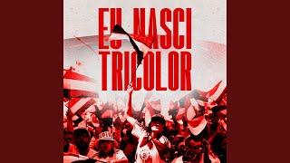 Eu Nasci Tricolor (Psy Version)