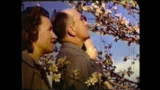 Chazy Orchards Film - 1948