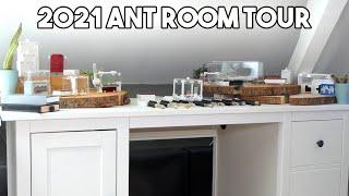 The Esthetic Ants 2021 Ant Room Tour