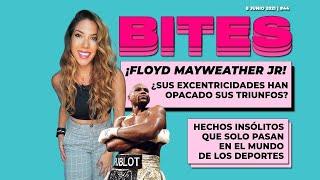 FLOYD MAYWEATHER JR ¡Datos y números insólitos en formato #BITES!