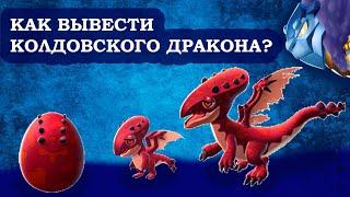 Как вывести ЛЕГЕНДАРНЫХ драконов в КОЛДОВСКОЙ лиге Легенды Дракономании