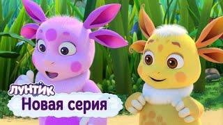 Лунтик | Полоса препятствий ‍️‍️‍️ Новая серия! Премьера!