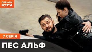 Пес Альф 1 сезон 7 серия | ДЕТЕКТИВЫ | СЕРИАЛ ICTV| КОМЕДИИ