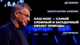 Наш мозг — самый сложный и загадочный объект природы.  Константин Анохин