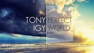 Tony Igy - Perfect World (Original Mix)