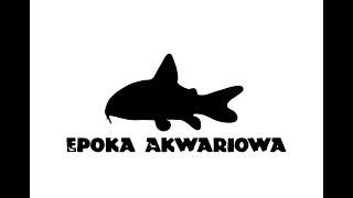 Nadchodzi epoka akwariowa