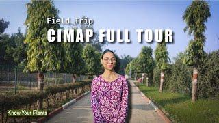 Medicinal and Aromatic Plants in CIMAP | Full tour of CIMAP -Field trip