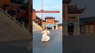 Wudang Taichi 28 Posture-3