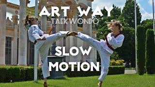 Taekwondo Kunstweg/Киев/ВДНХ/Красота тхэквондо